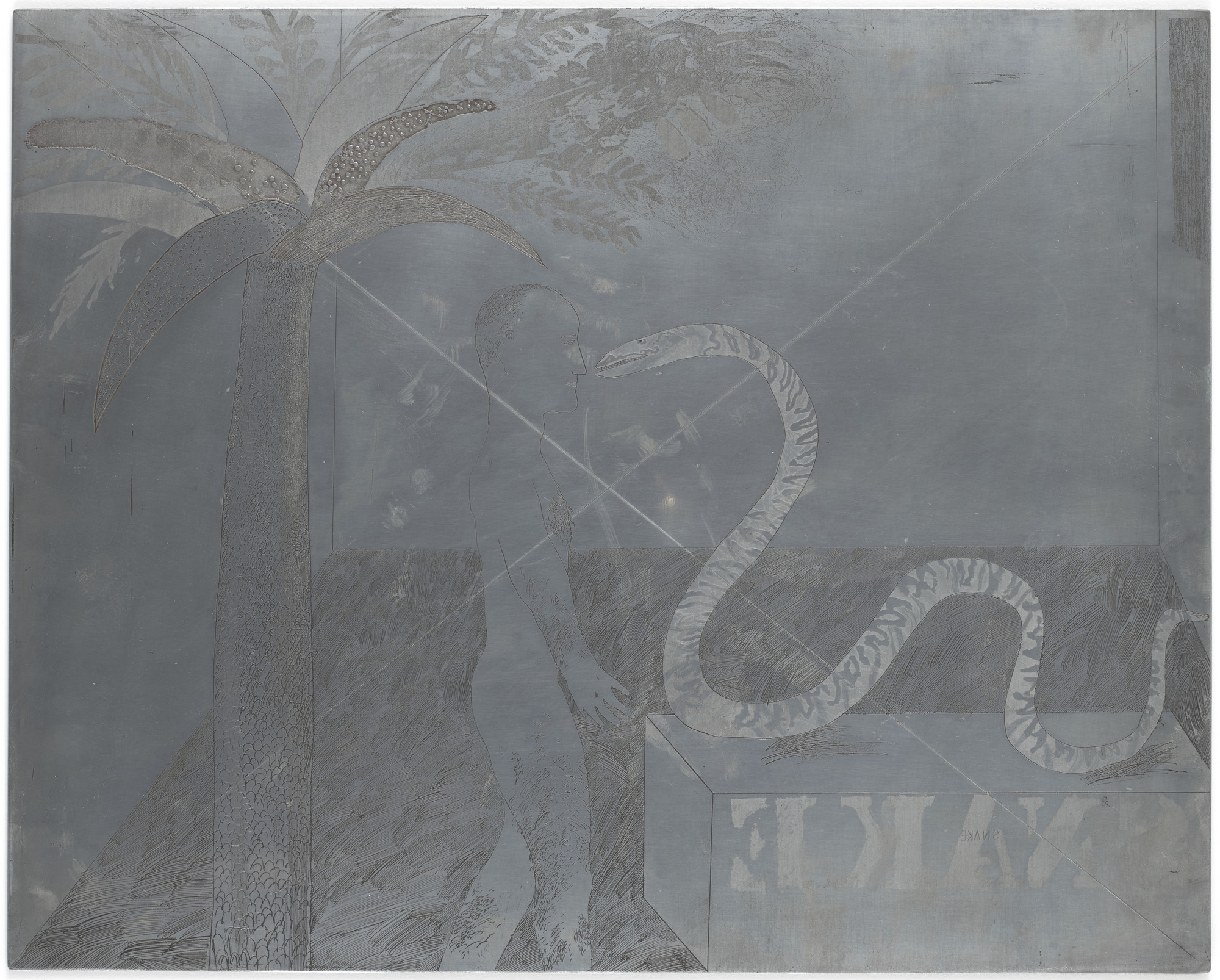 David Hockney. Plate for Jungle Boy