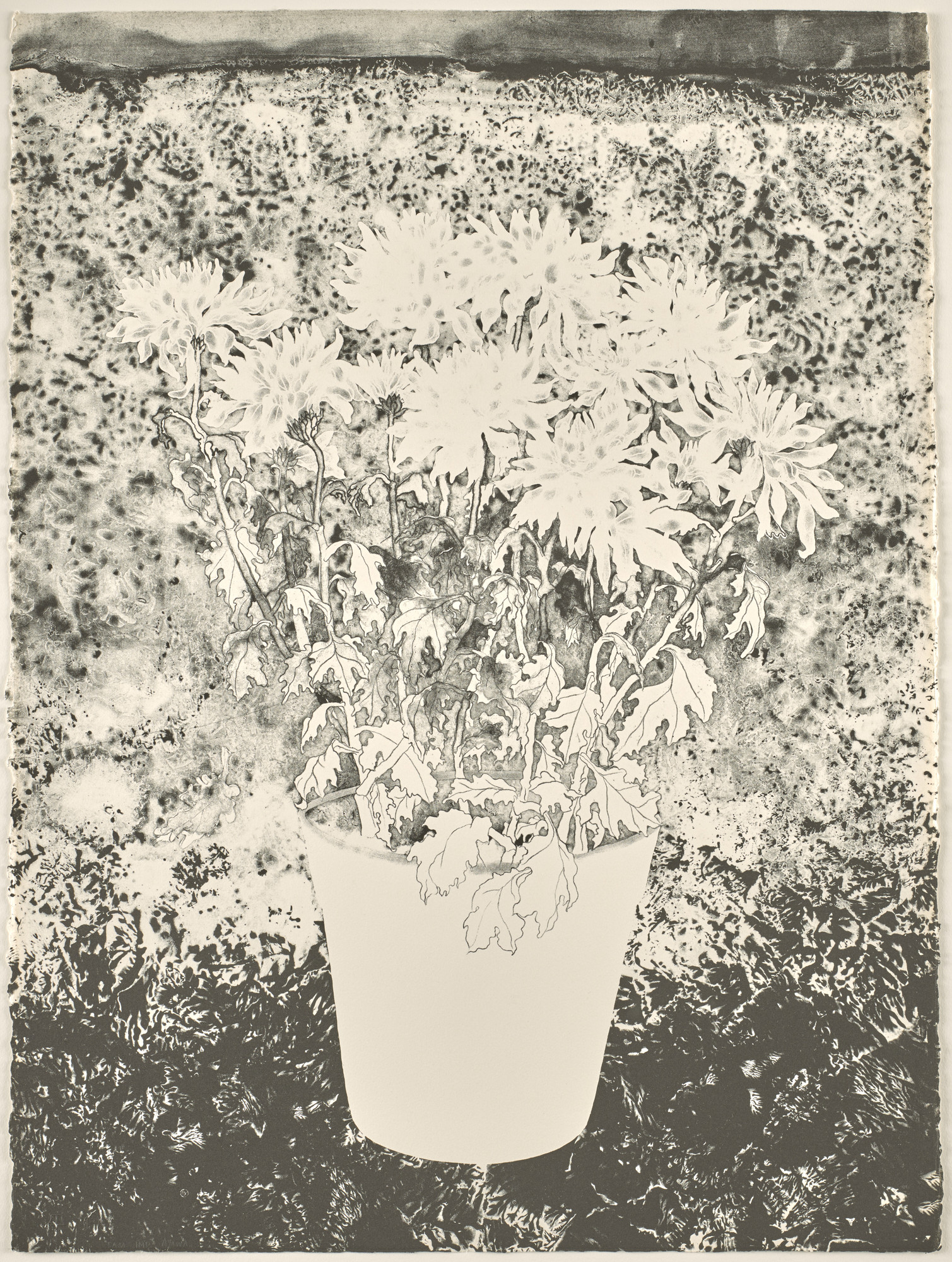 Ruth Asawa. Chrysanthemums (TAM.1477)