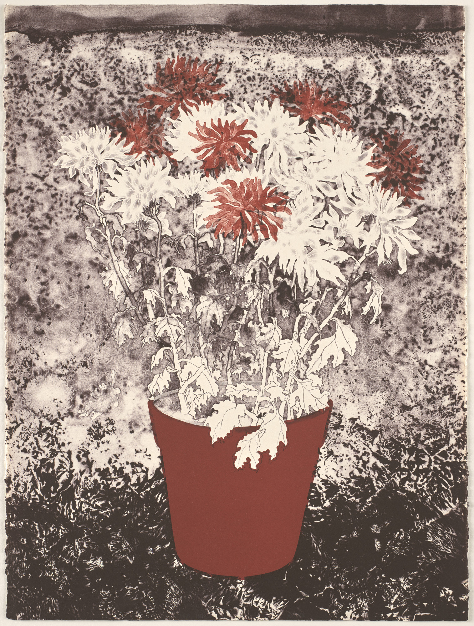 Ruth Asawa. Chrysanthemums (TAM.1477-II)