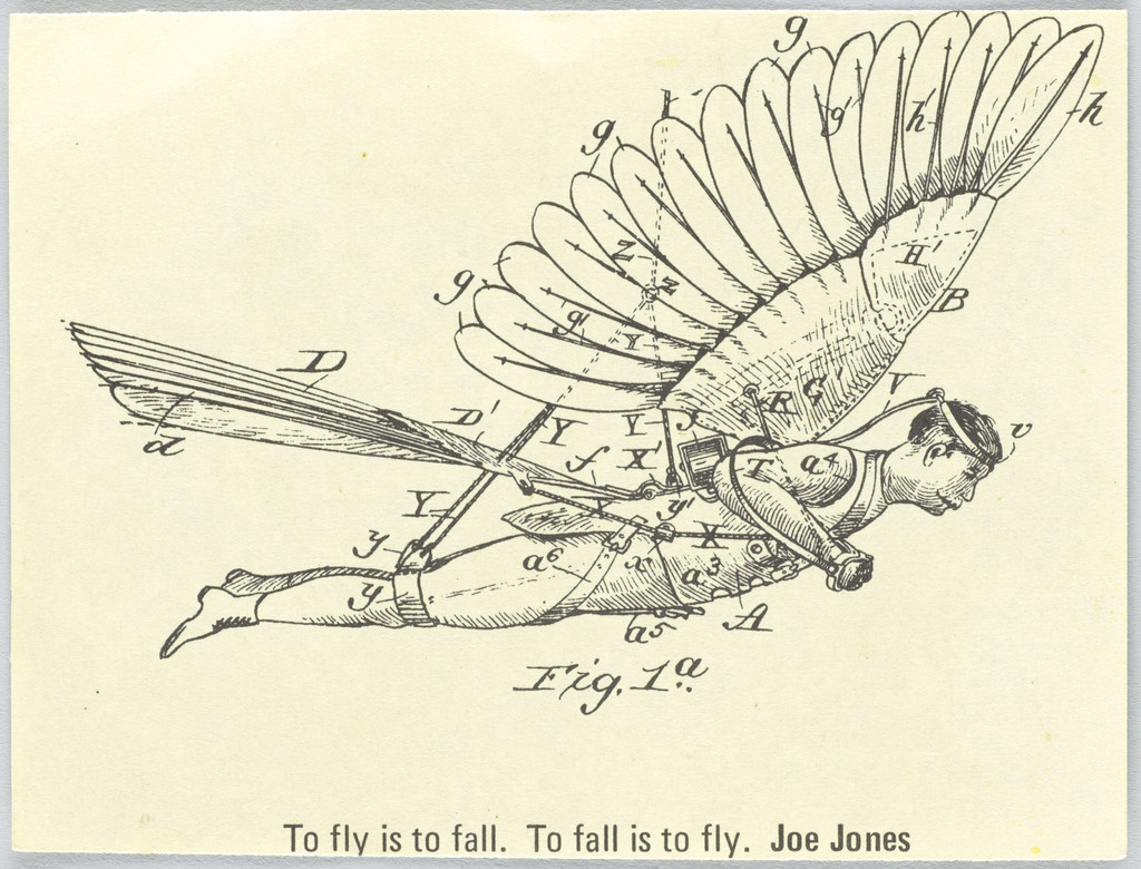 To Fly Is to Fall. To Fall Is to Fly. Joe Jones