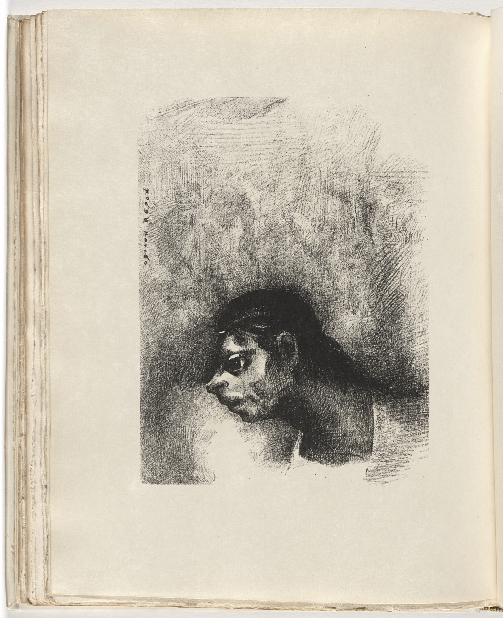 Odilon Redon. A Man of the People, a Savage, Passed beneath the Head of the Horses (Un Homme du peuple, un sauvage, a passé sous la tête des chevaux) (plate) from Le Juré
