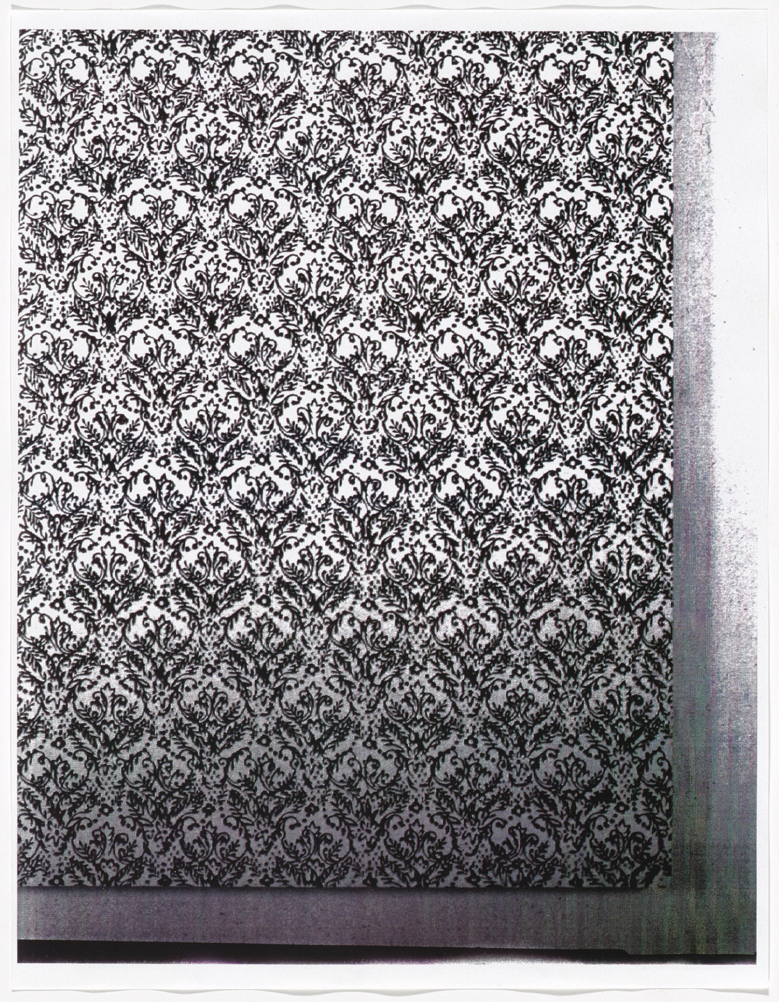 Christopher Wool. Untitled from Untitled (Cats in Bag). 1990