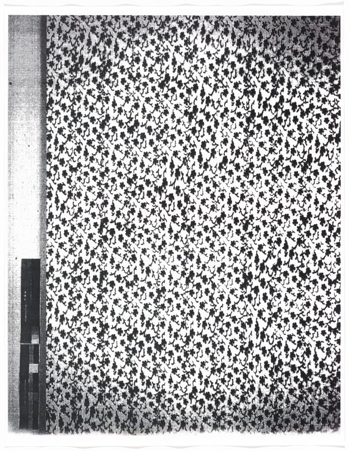 Christopher Wool. Untitled from Untitled (Cats in Bag). 1990