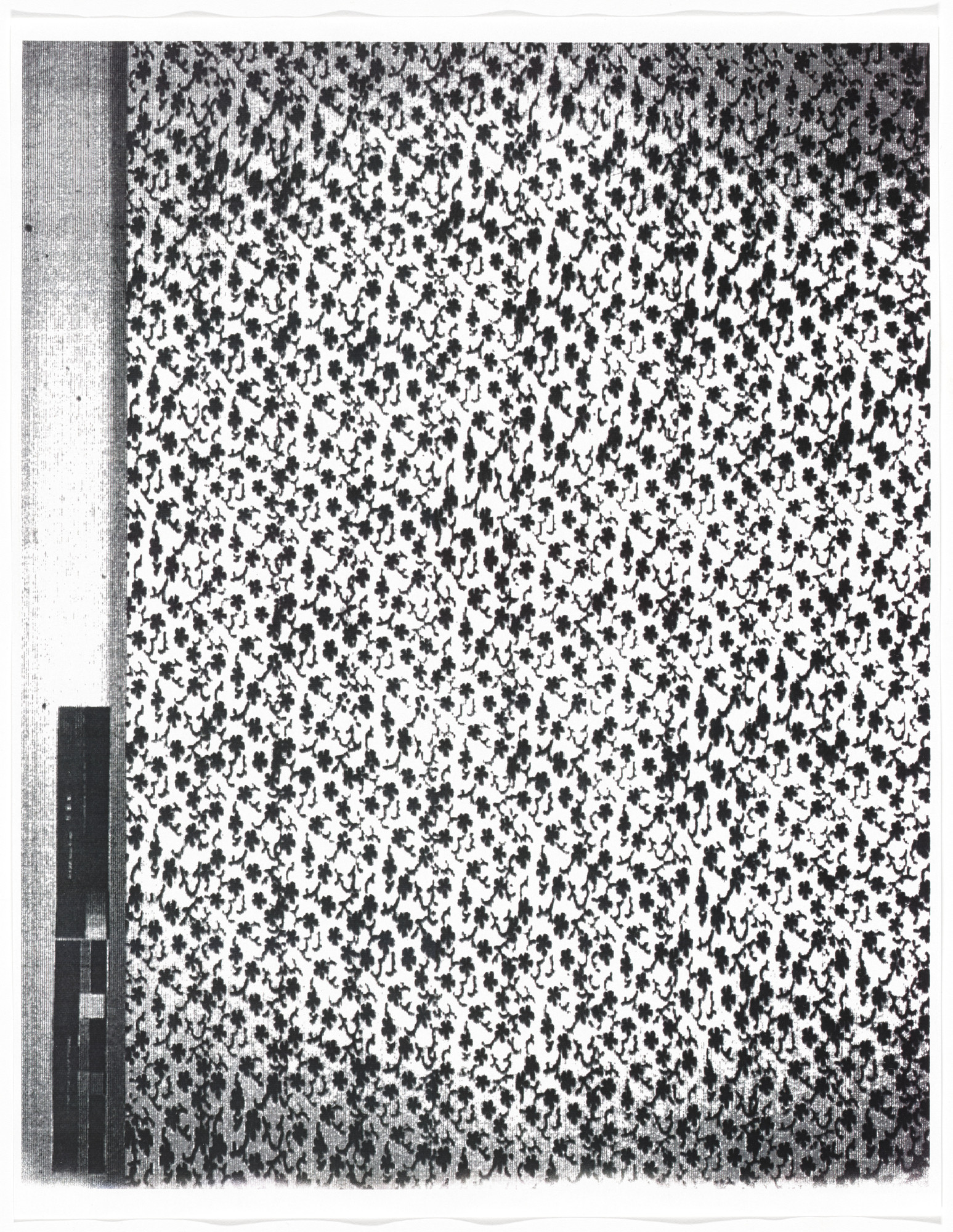 Christopher Wool. Untitled from Untitled (Cats in Bag)