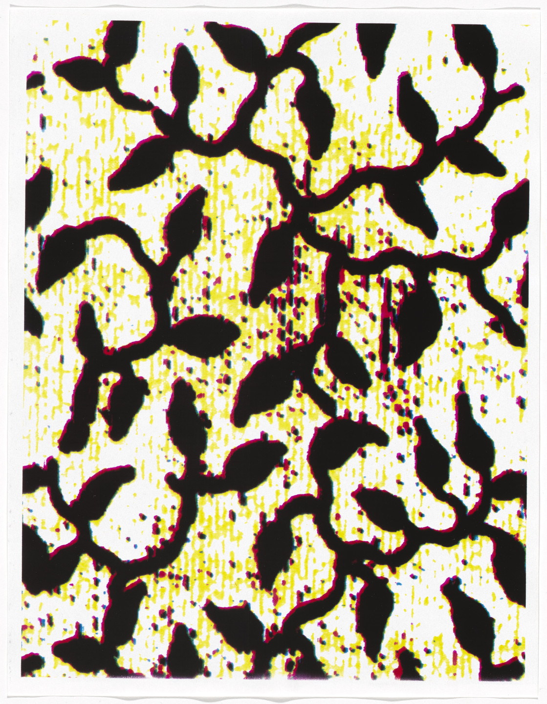 Christopher Wool. Untitled from Untitled (Cats in Bag). 1990