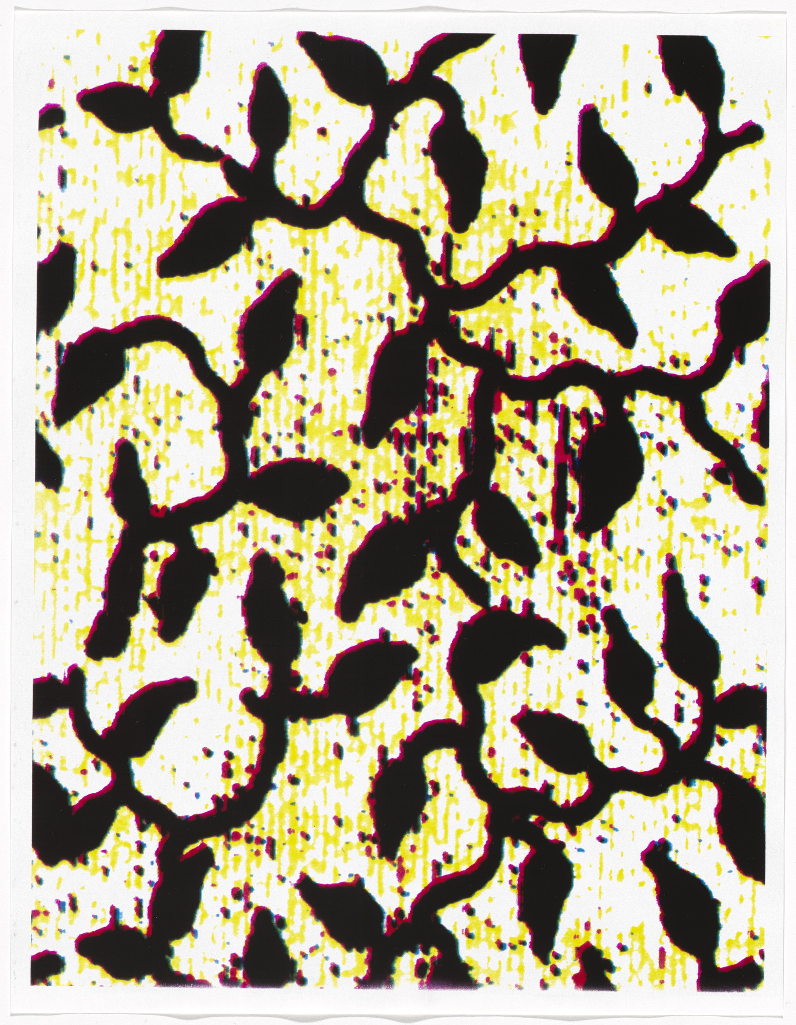 Christopher Wool. Untitled from Untitled (Cats in Bag)