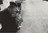Miguel Rio Branco. Untitled. 1970-72