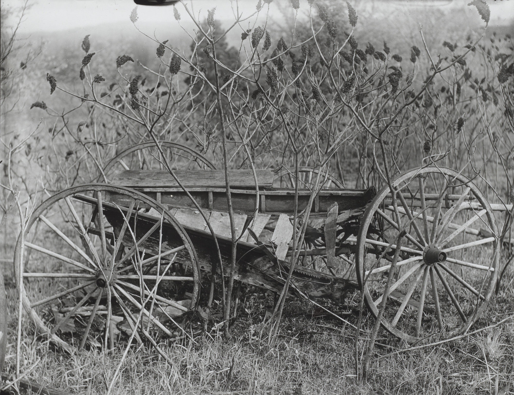 Walker Evans. SOMERTOWN ROAD, OSSINING, NEW YORK