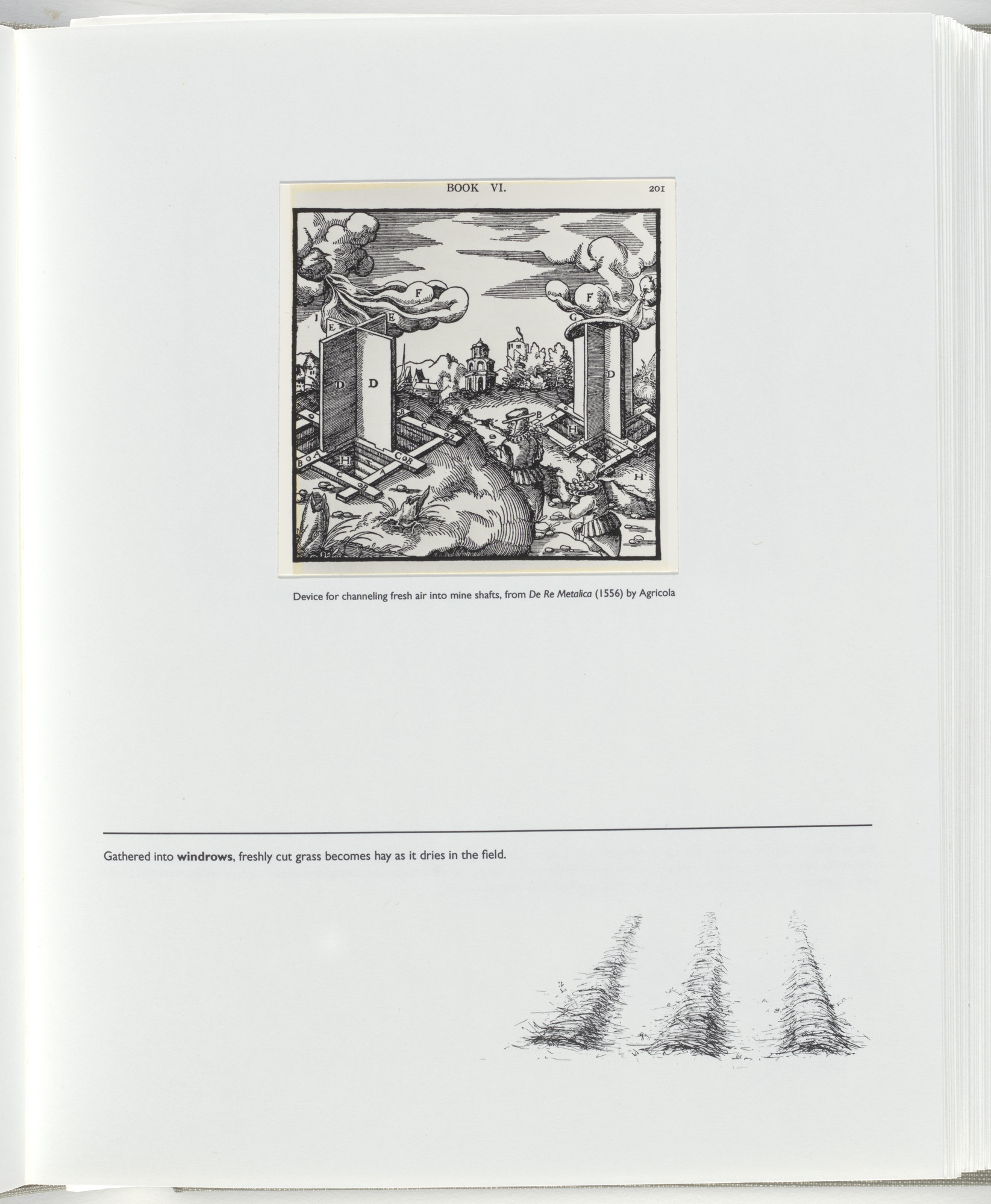 Jerome Neuner. Untitled (page from Sump)