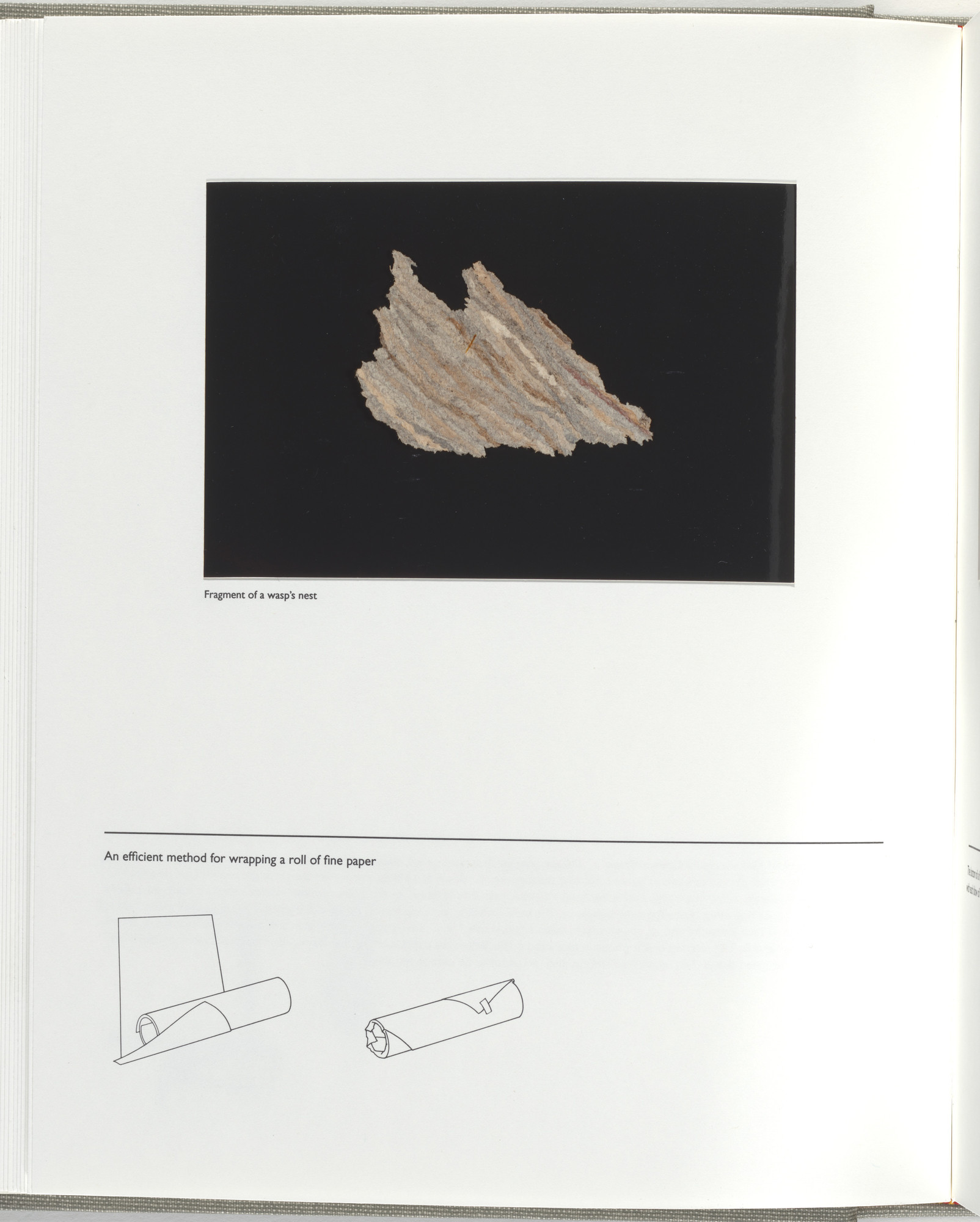 Jerome Neuner. Untitled (page from Sump)