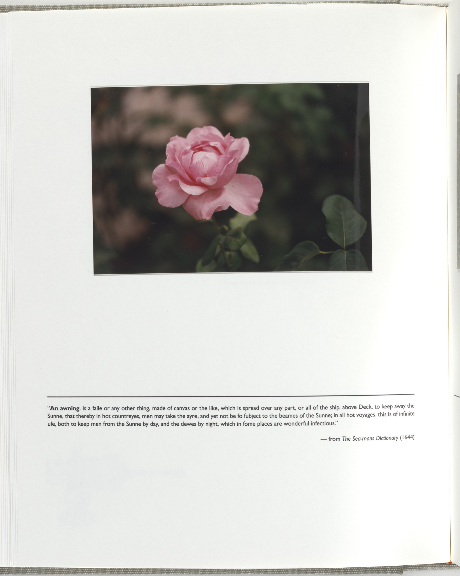 Jerome Neuner. Untitled (page from Sump)