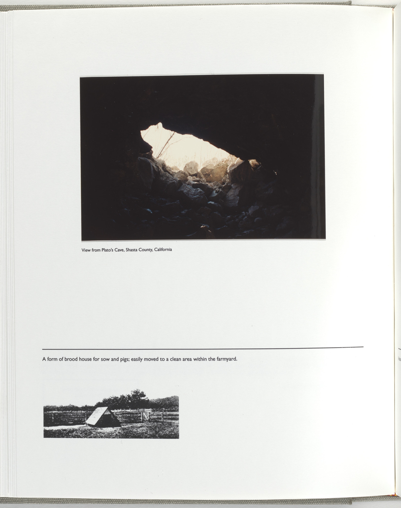 Jerome Neuner. Untitled (page from Sump)