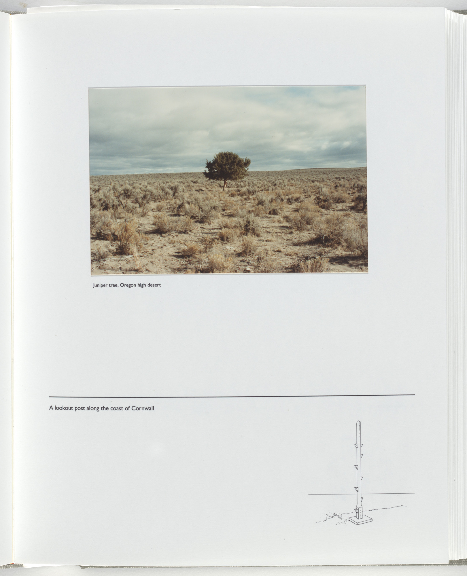 Jerome Neuner. Untitled (page from Sump)