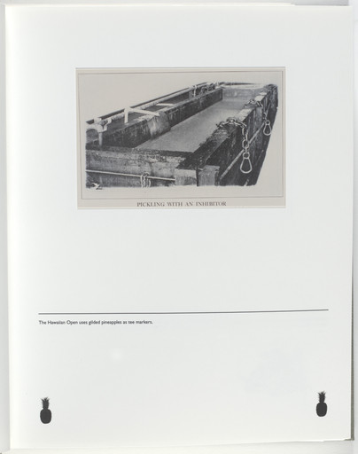 Untitled (page from Sump)