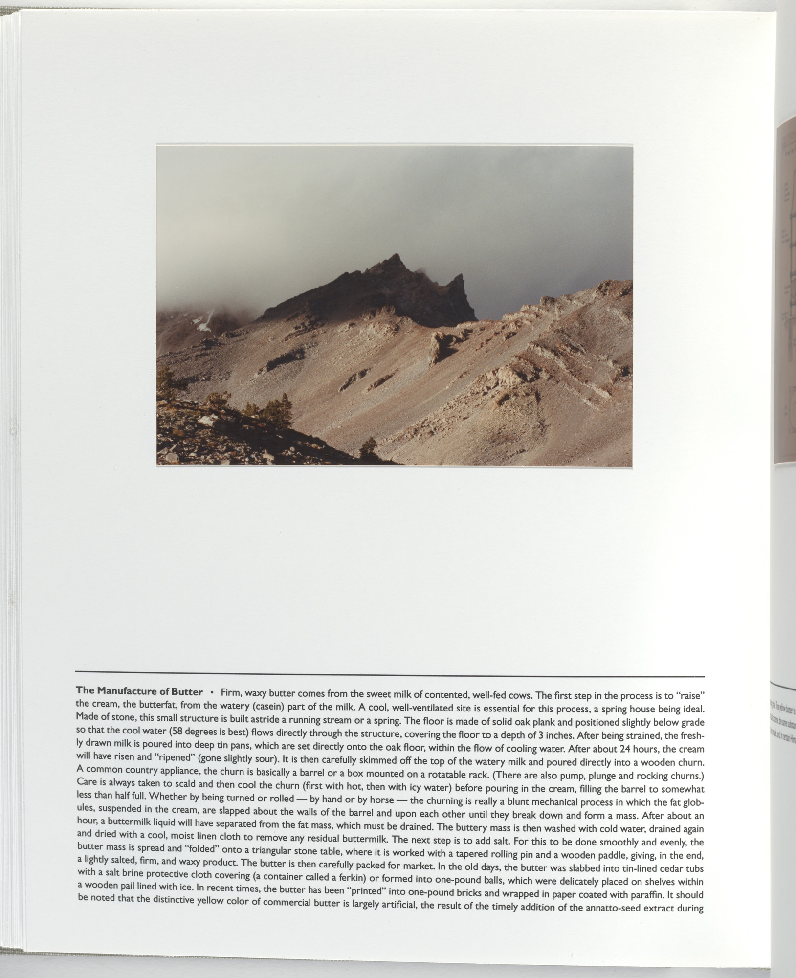 Jerome Neuner. Untitled (page from Sump)