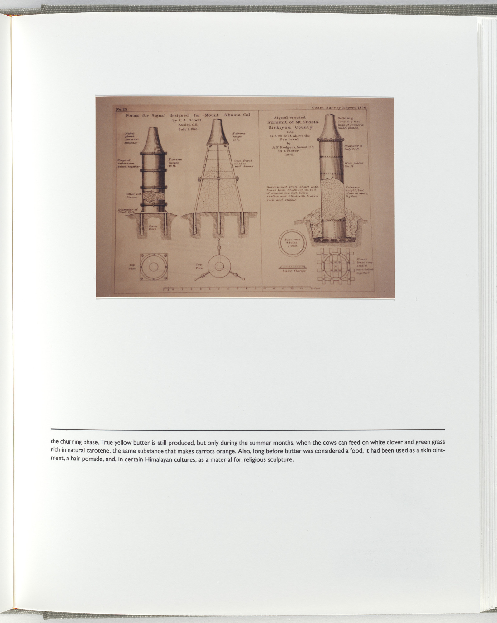 Jerome Neuner. Untitled (page from Sump)