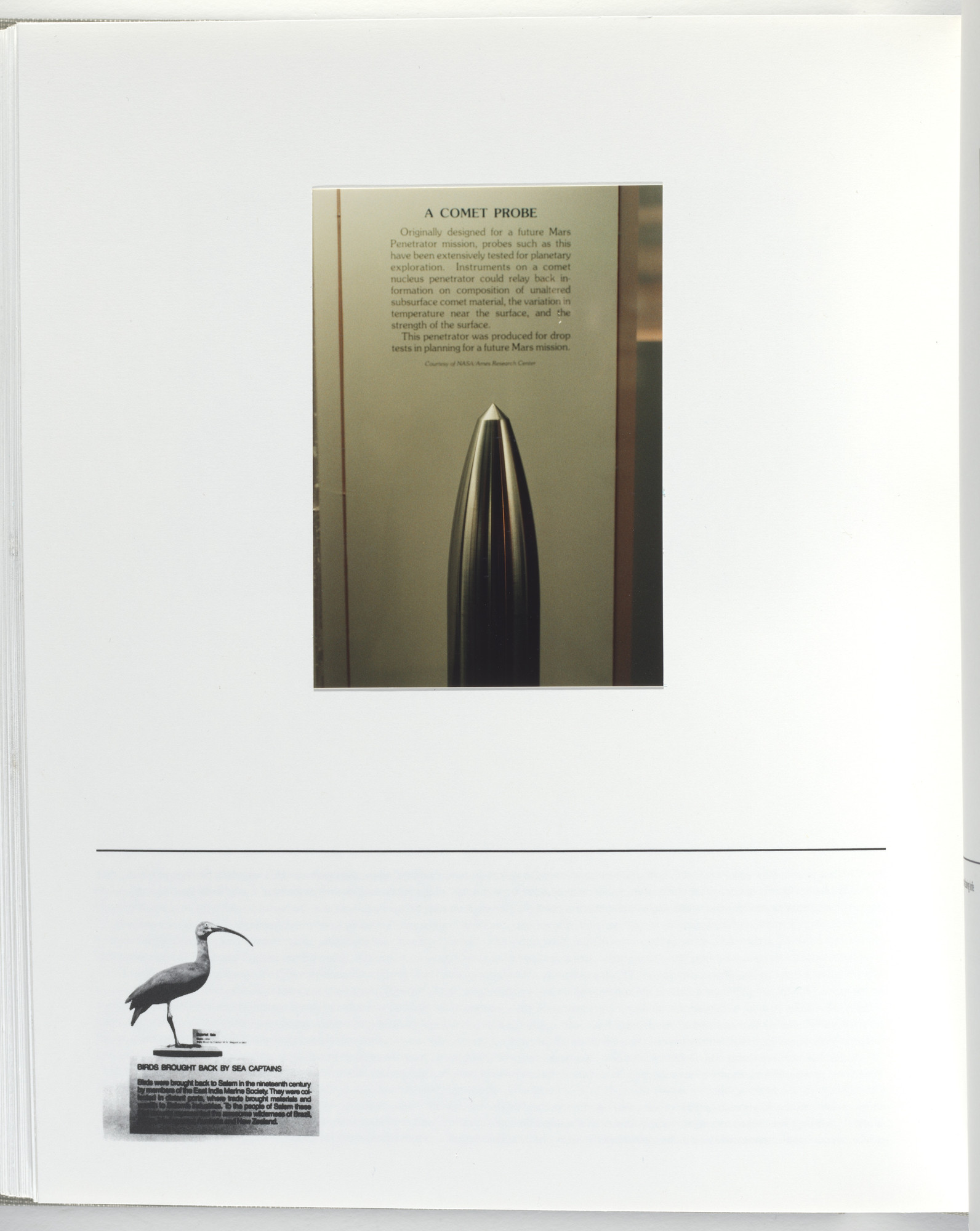Jerome Neuner. Untitled (page from Sump)