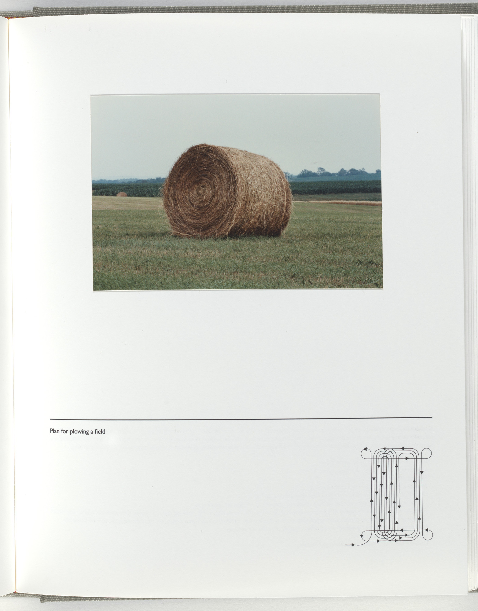 Jerome Neuner. Untitled (page from Sump)