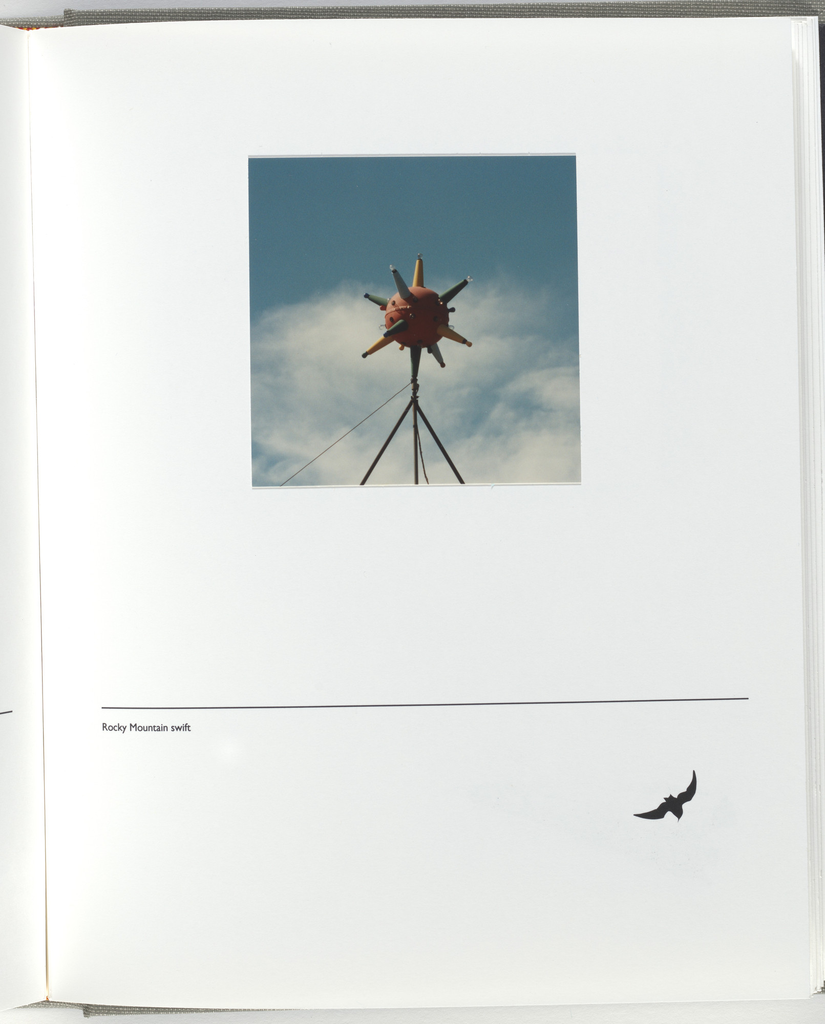 Jerome Neuner. Untitled (page from Sump)