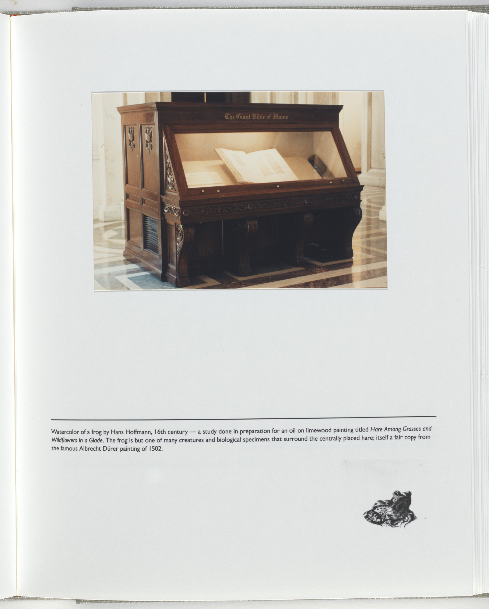 Jerome Neuner. Untitled (page from Sump)