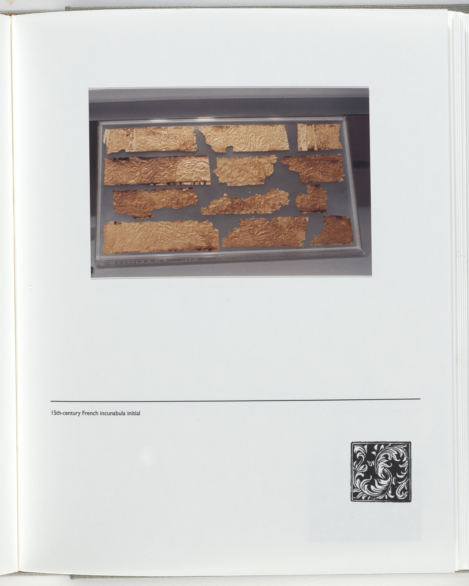 Jerome Neuner. Untitled (page from Sump)