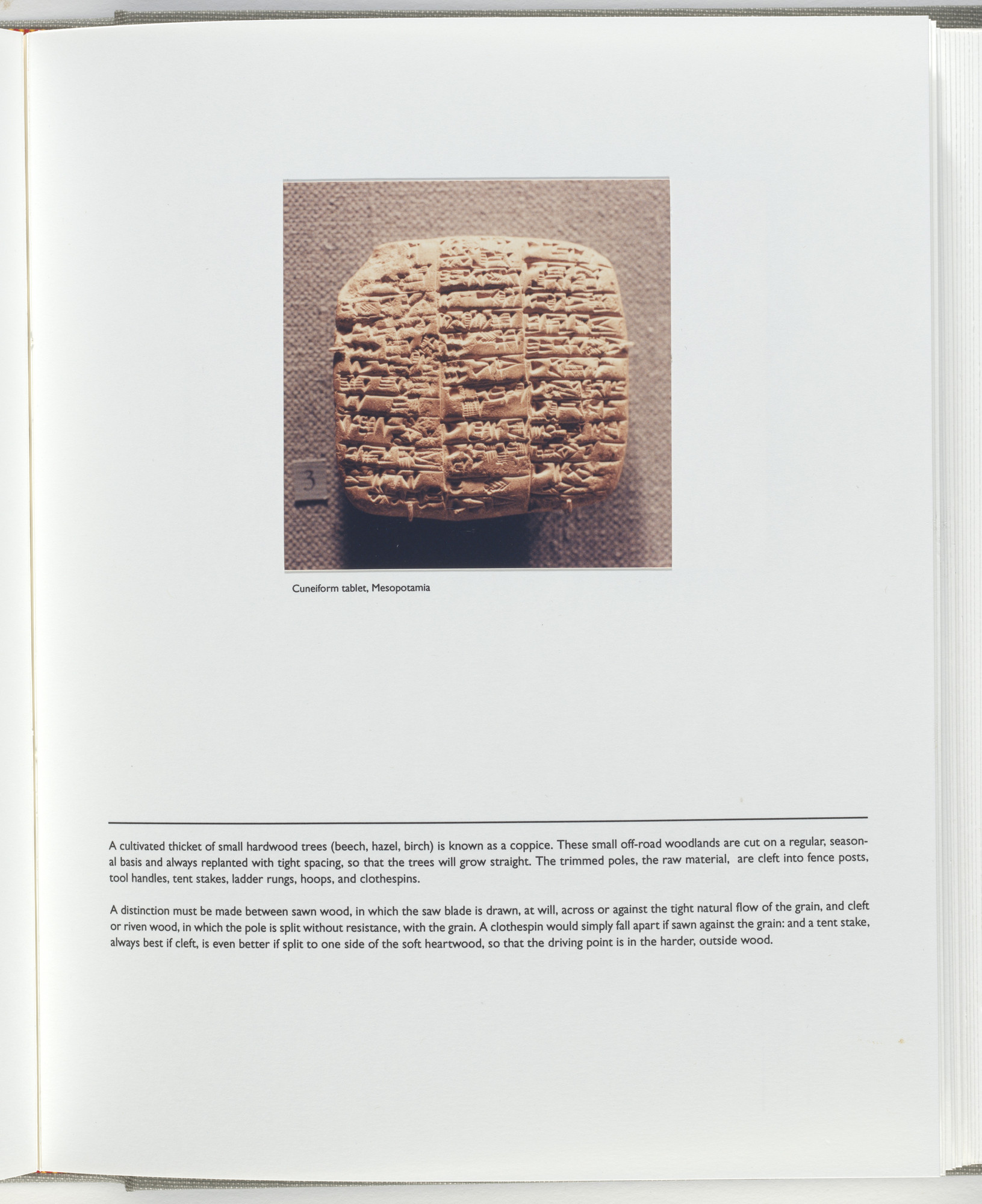 Jerome Neuner. Untitled (page from Sump)