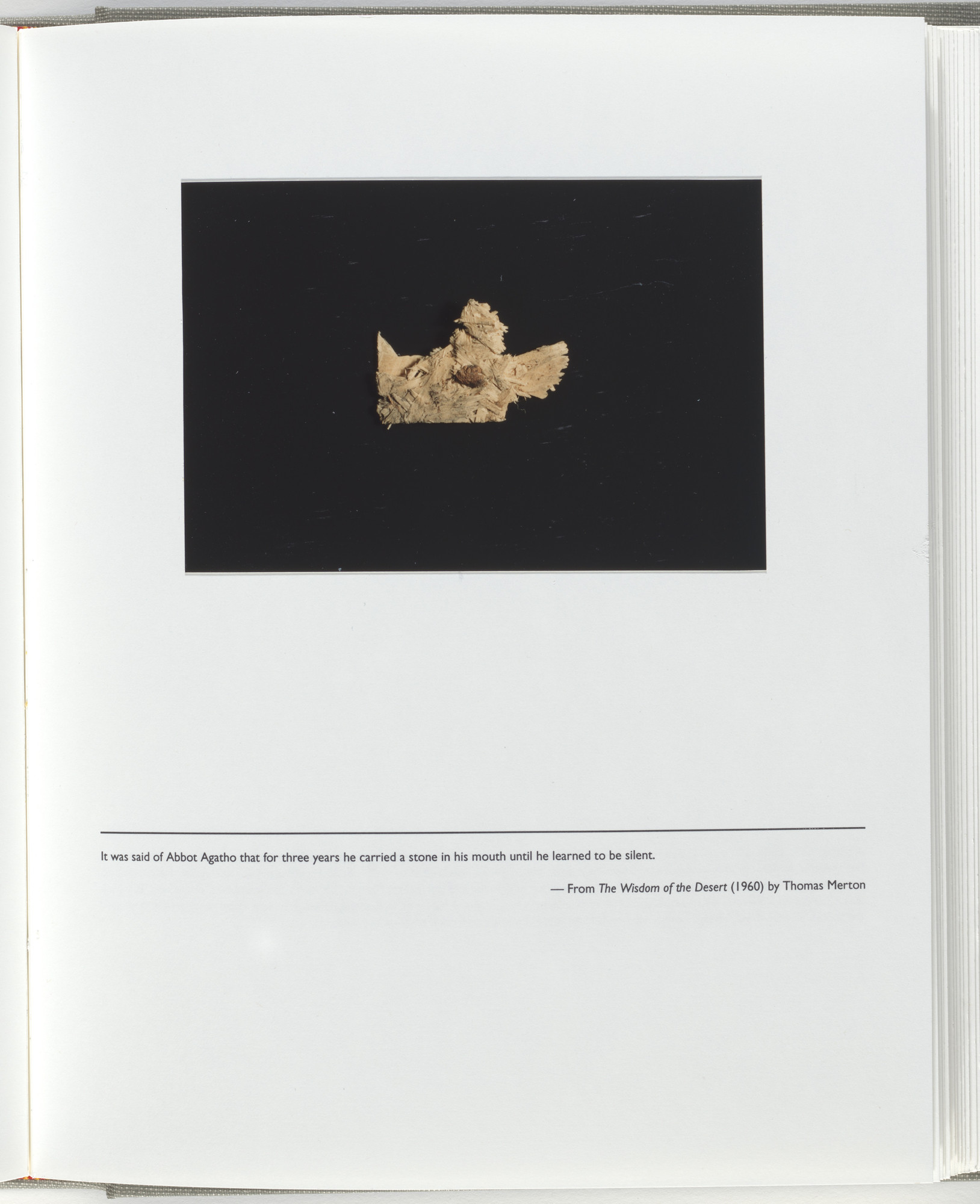 Jerome Neuner. Untitled (page from Sump)