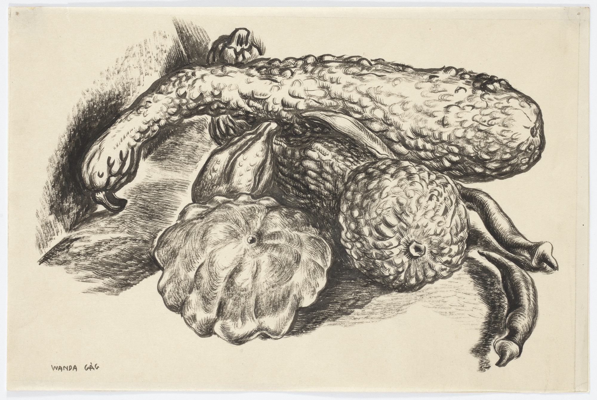 Wanda Gág. Squash