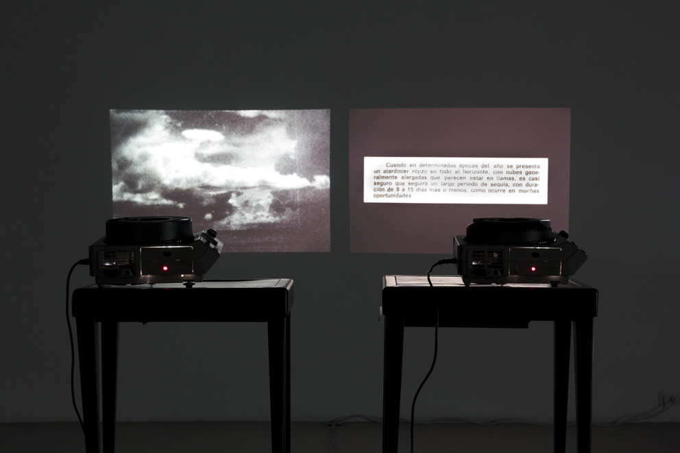Gilda Mantilla, Raimond Chaves. Secrets of the Amazon. 2011