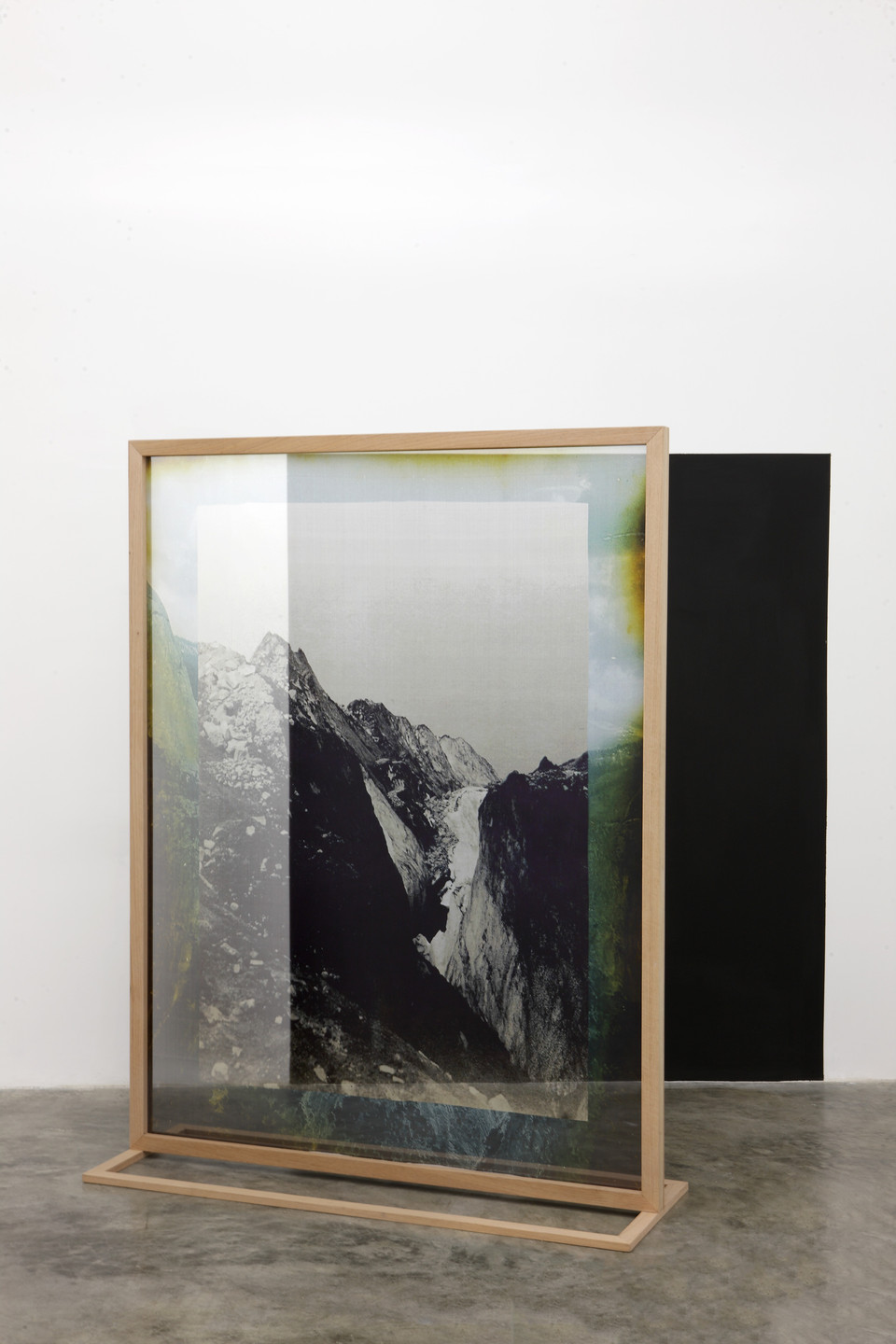 Elena Damiani. Fading Field No. 1. 2012