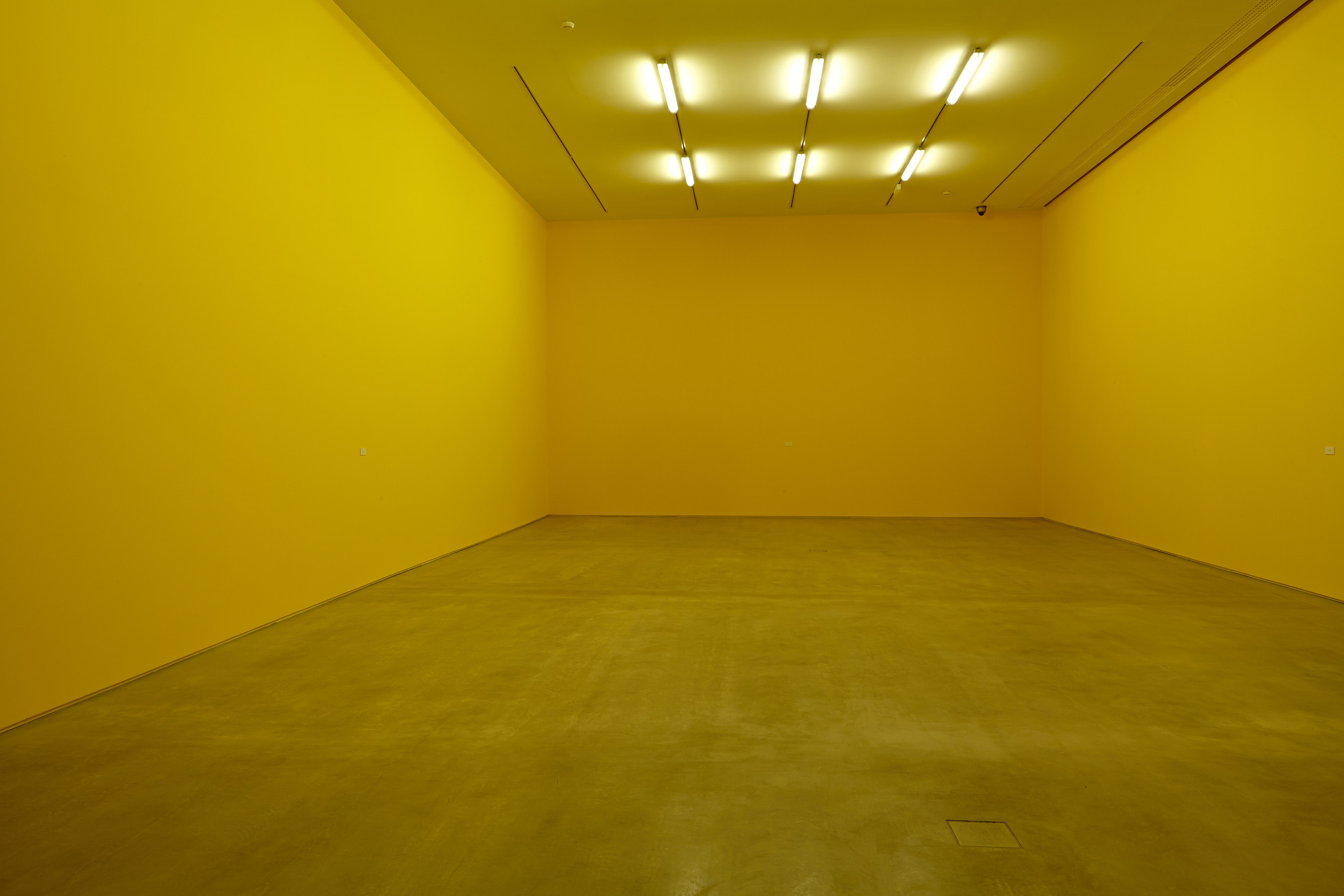 Héctor Fuenmayor. Citrus 6906. 1973/2014 | MoMA