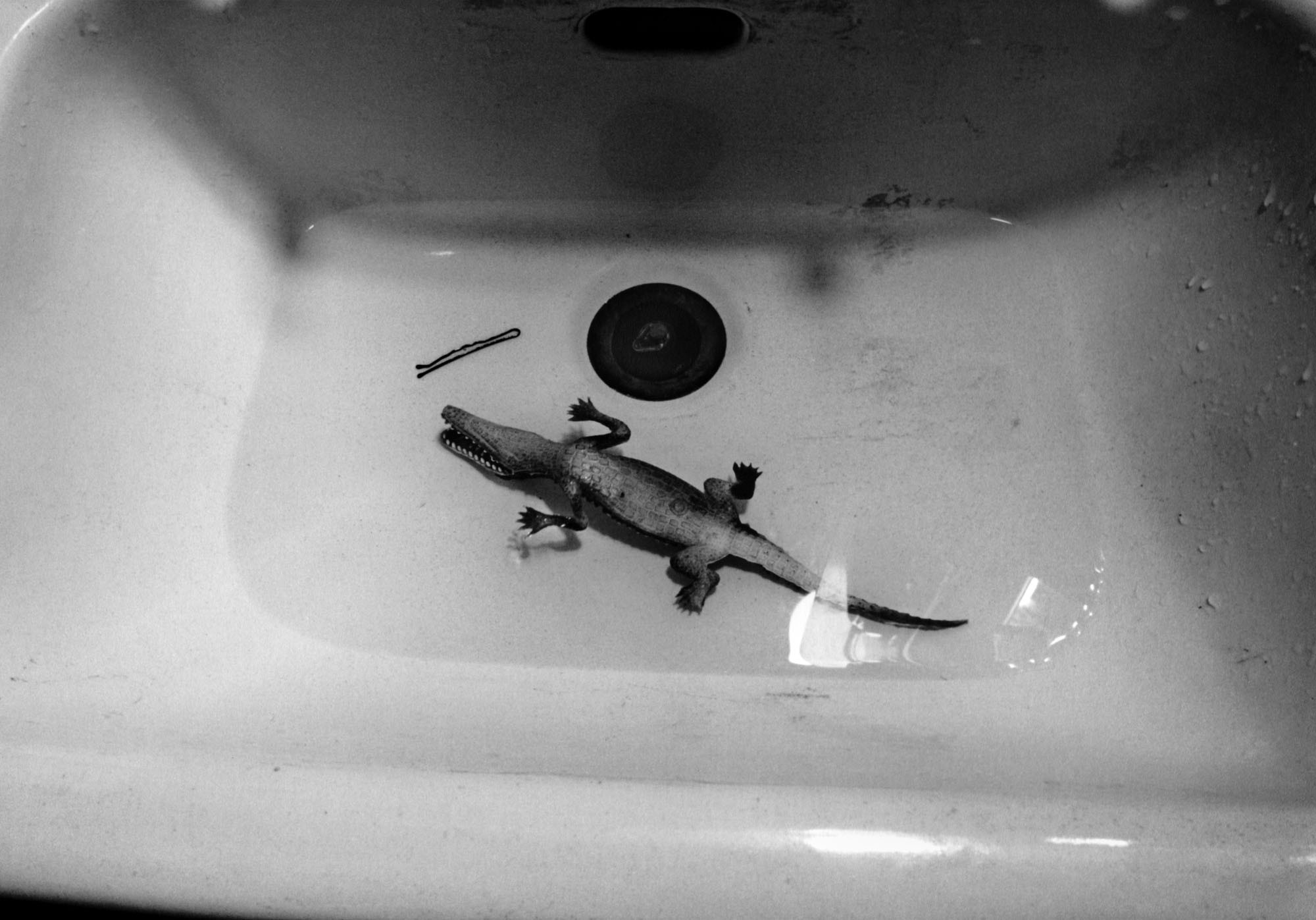 Lothar Baumgarten. A Voyage or ‘with the MS Remscheid on the Amazon’/ The Account of a Voyage under the Stars of the Refrigerator. 1968-1971