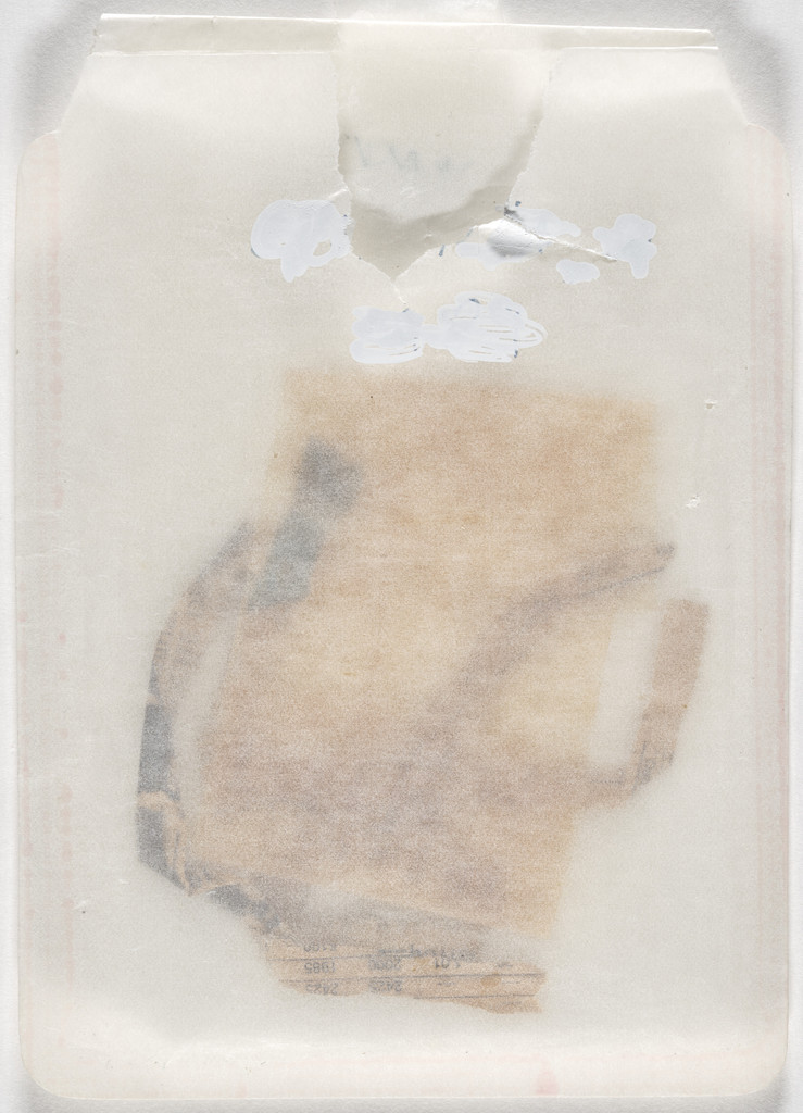 Desiccated Sculpture (Escultura dissecada)