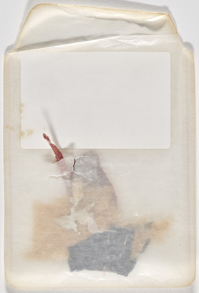 Desiccated Sculpture (Escultura dissecada)