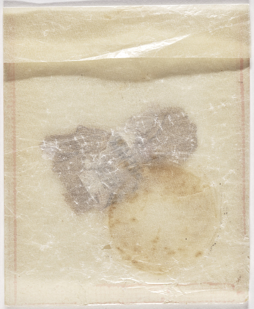 Desiccated Sculpture (Escultura dissecada)