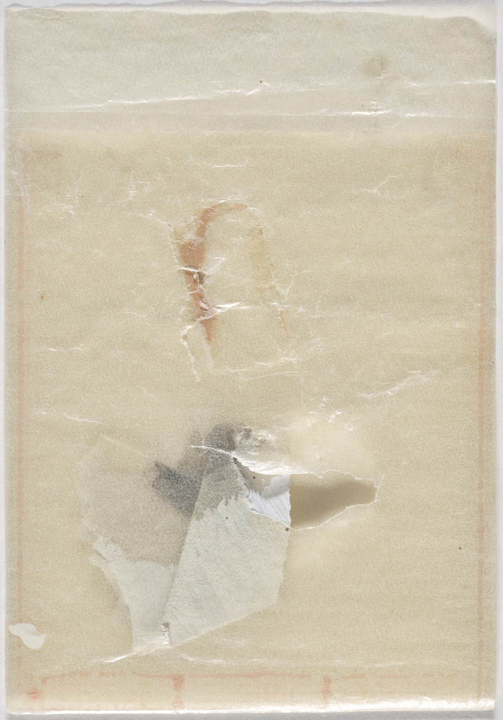 Desiccated Sculpture (Escultura dissecada)