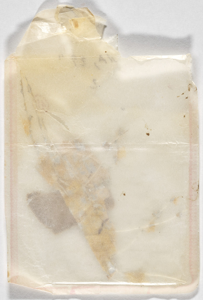 Desiccated Sculpture (Escultura dissecada)