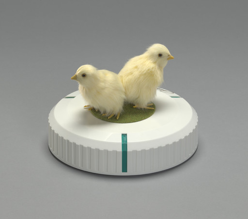 Cao Fei. Rumba 1: Incubator (for Parkett no. 99). 2017