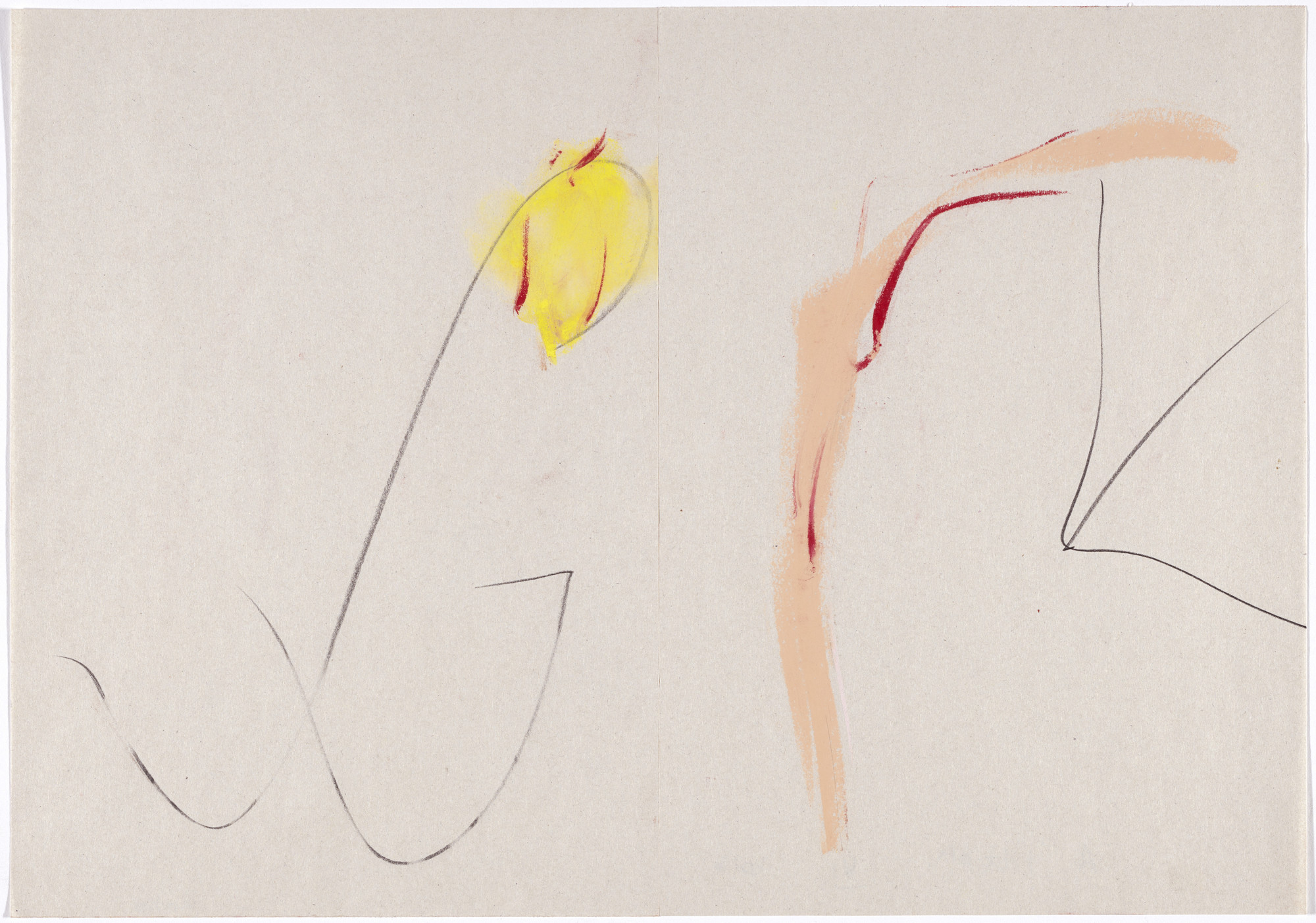 Antoni Llena. S.O.S. Smoke Signals from Underground (SOS. Senyals de fum des d'un subsòl)