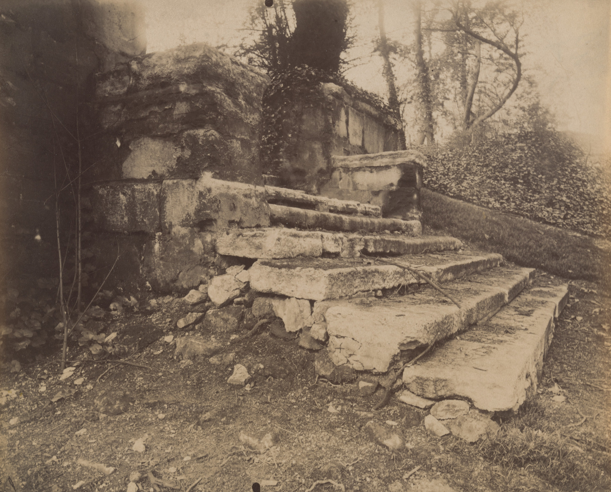 Eugène Atget. Parc Delessert