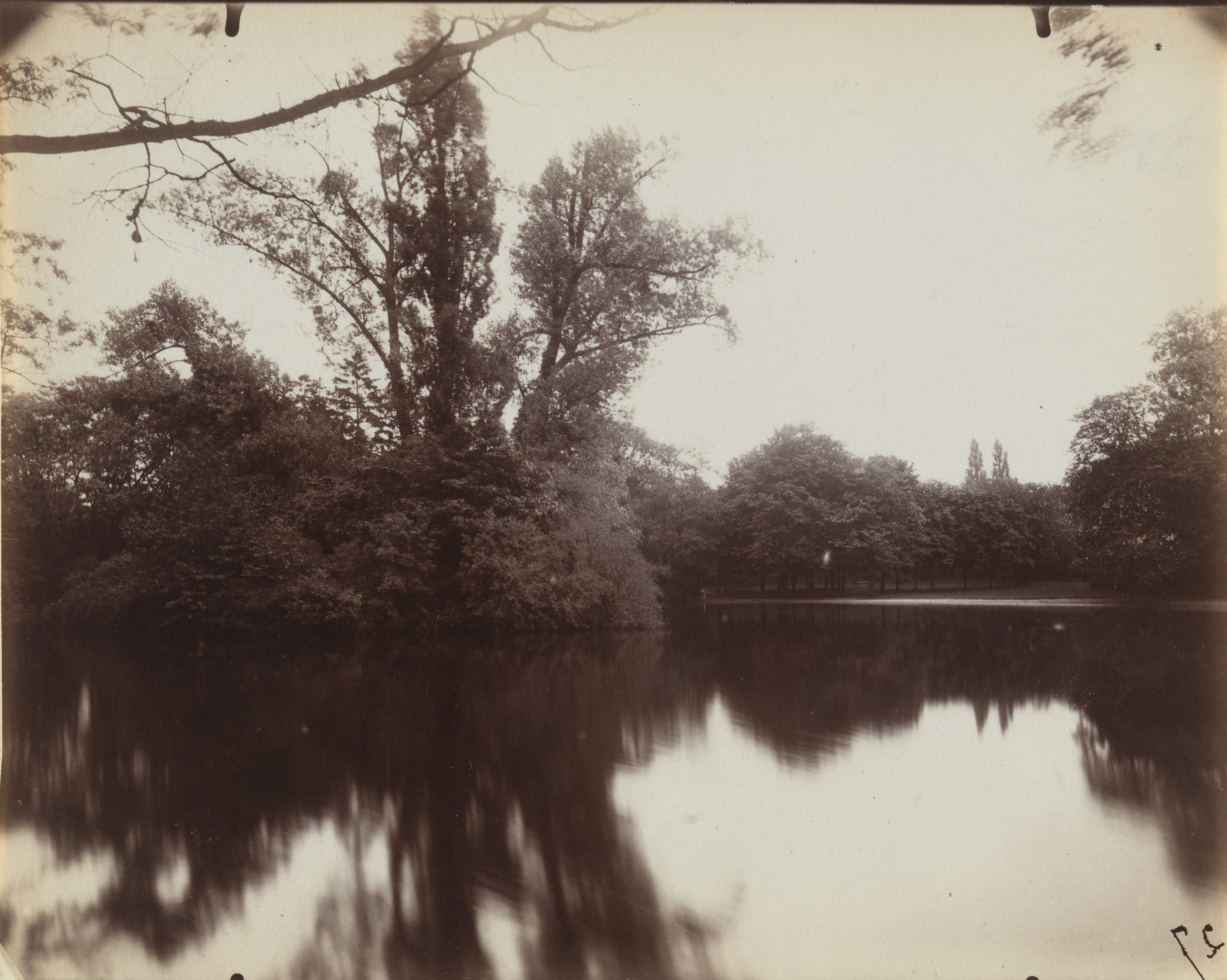 Eugène Atget. Bois de Boulogne. 1923