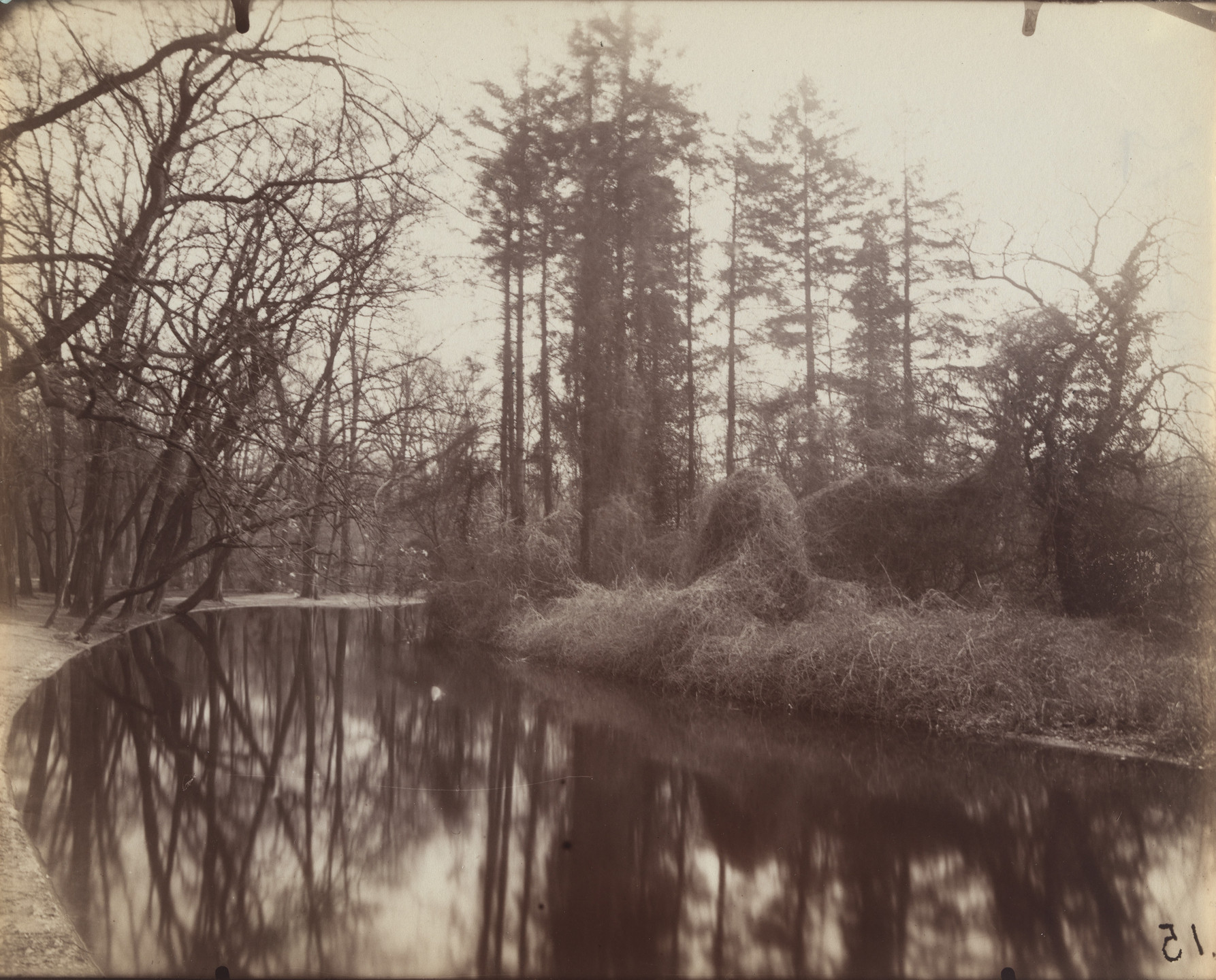 Eugène Atget. Bois de Boulogne. 1923