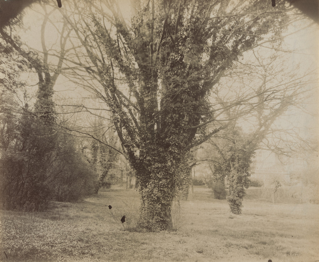 Parc Delessert, 32 Quai de Passy