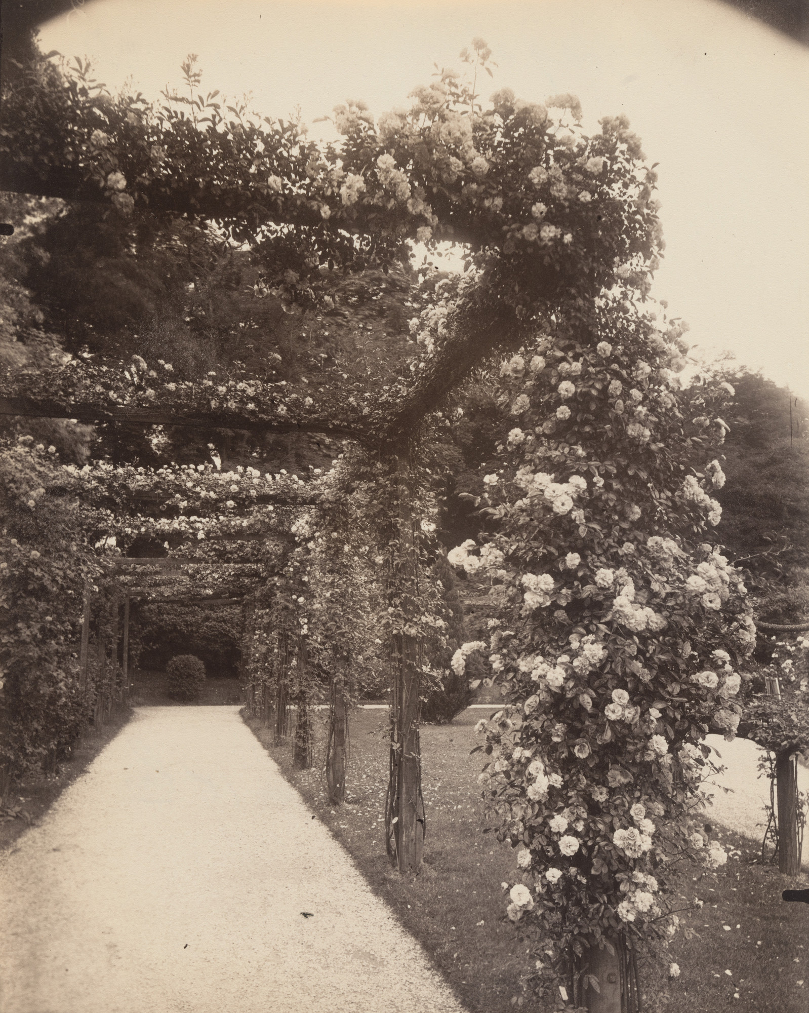 Eugène Atget. Bagatelle