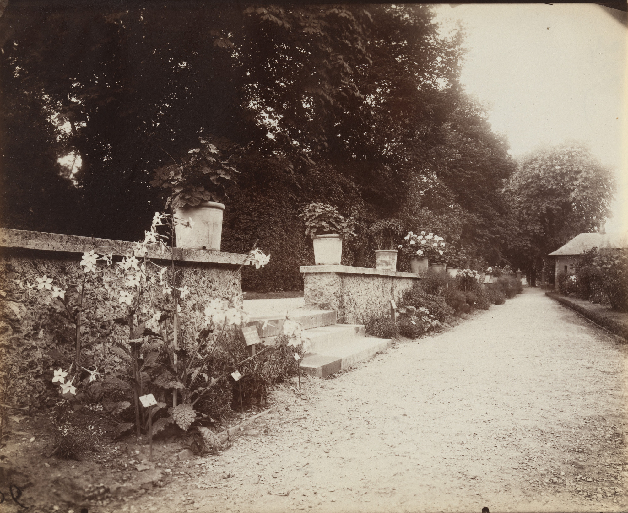 Eugène Atget. Bagatelle