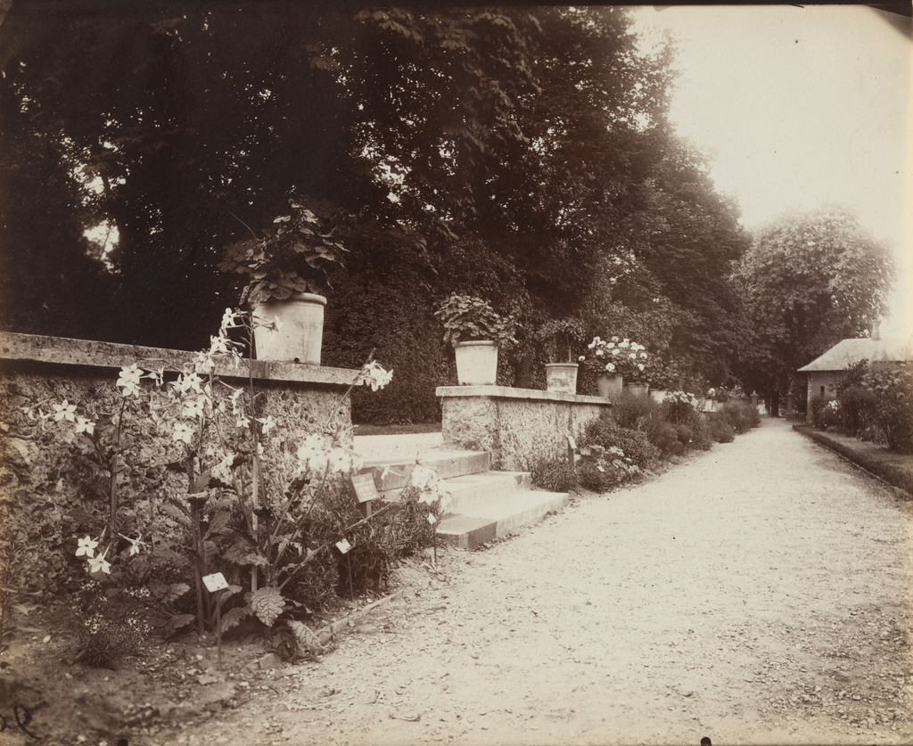 Bagatelle, Eugène Atget, 1919-21