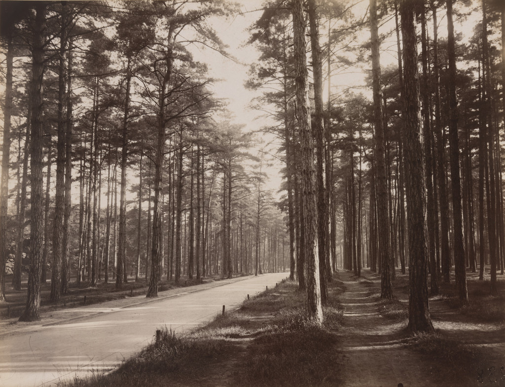 Bois de Boulogne
