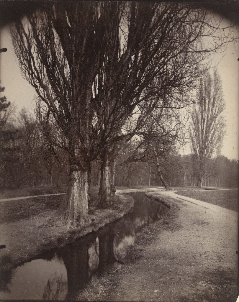 Bois de Boulogne