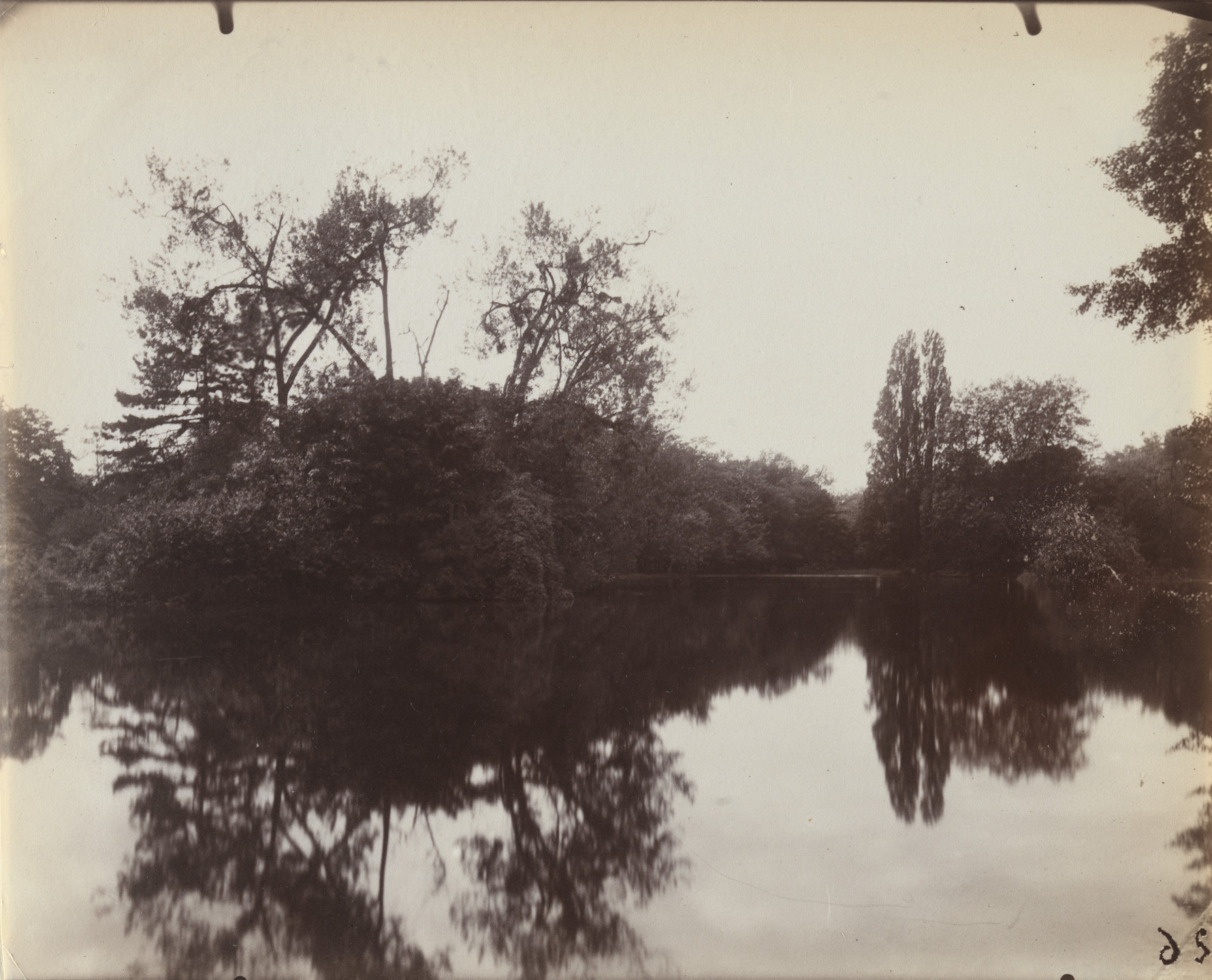 Eugène Atget. Bois de Boulogne. 1923