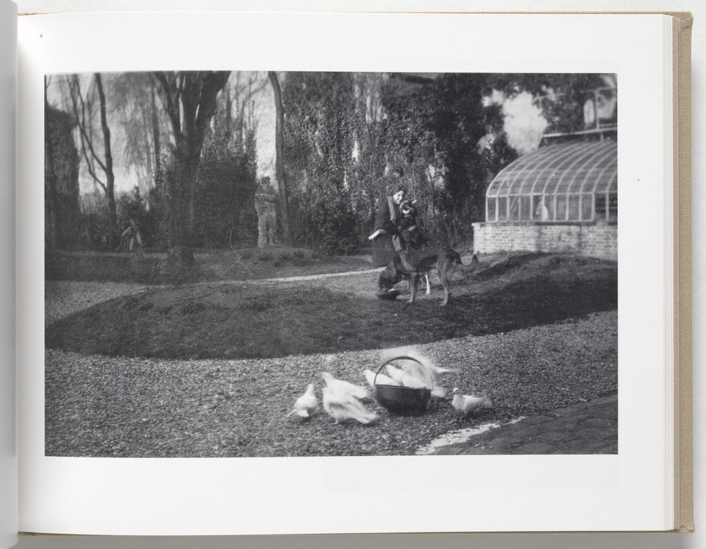Untitled, no. 40 of 69, from the illustrated book, Album